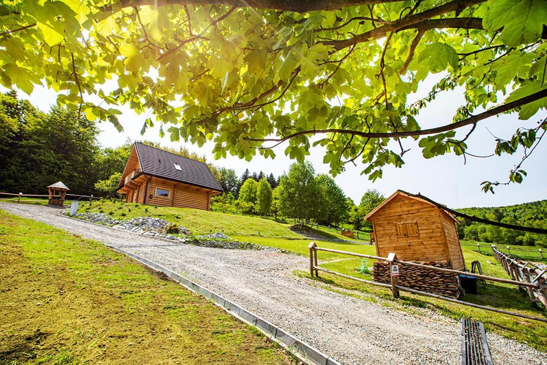 Pyrgielowka- Chata Roztoki Stryszawa Exteriör bild