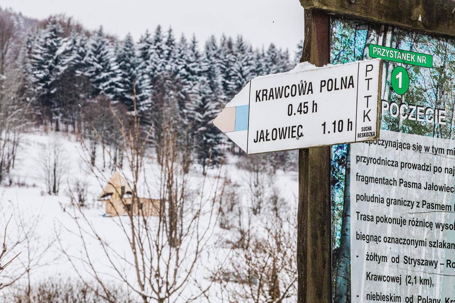 Pyrgielowka- Chata Roztoki Stryszawa Exteriör bild